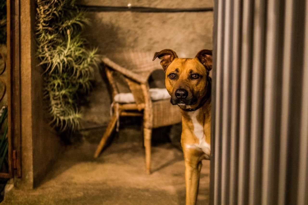 Ferienwohnung Finca Monica La Matanza De Acentejo Bagian luar foto