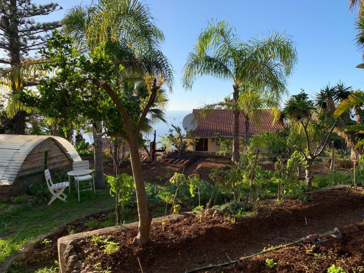 Ferienwohnung Finca Monica La Matanza De Acentejo Bagian luar foto