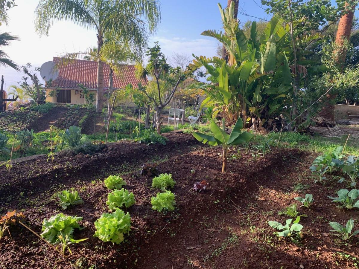 Ferienwohnung Finca Monica La Matanza De Acentejo Bagian luar foto